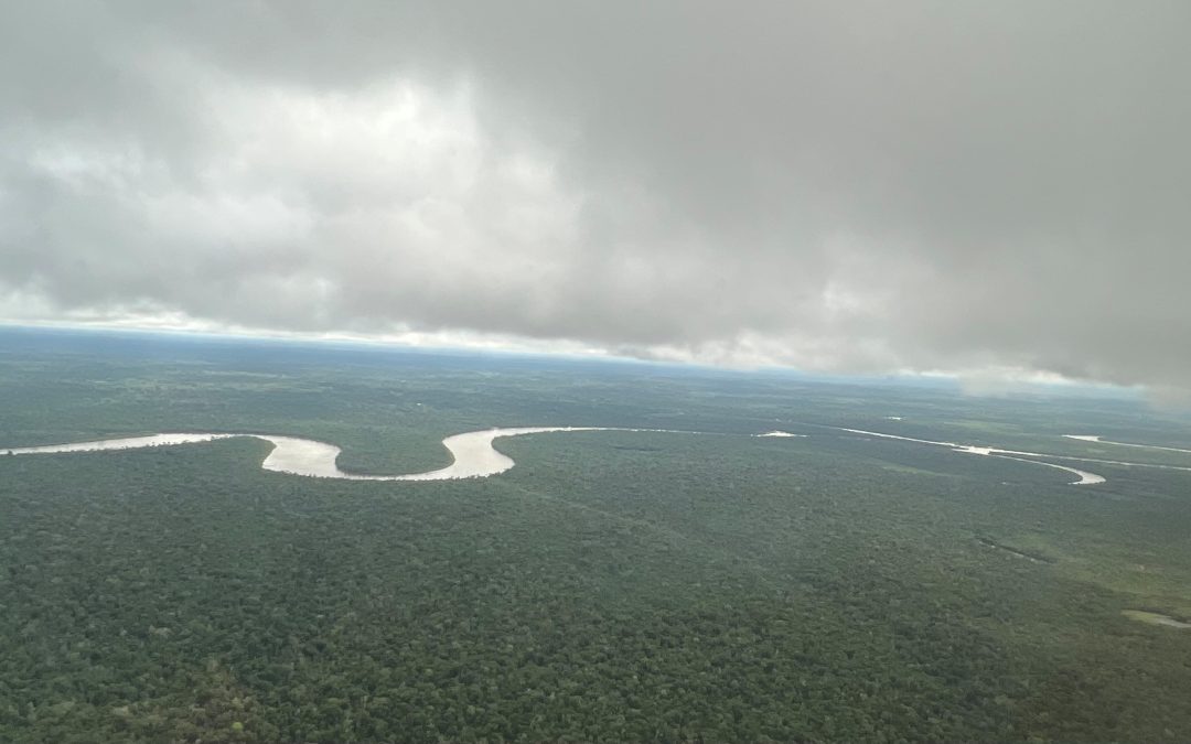 Partnering with Life